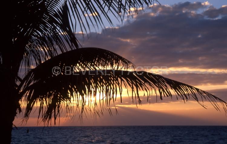 Islands;Sunsets;Sky;cozumel;mexico;clouds;sun;water;red;palm trees;sillouettes;colorful